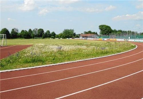 Das Fußballfeld in Stephanskirchen wird wöchentlich gemäht, zwischen Tor und Tartanbahn bleibt ein Blühstreifen stehen. Foto Bauhof