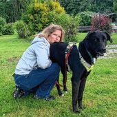 Damit Waldi seinen Auslauf bekommt