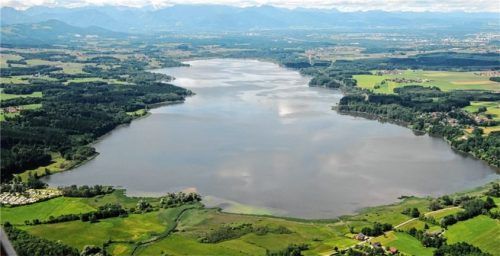 Die Verschlechterung der Wasserqualität des Simssees beschäftigt derzeit mehrere Gemeinden. Foto Ammelburger
