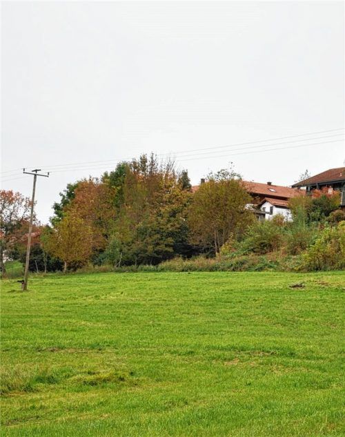 Dieses abfallende Hanggelände am Ortsrand von Großhöhenrain soll mit mehreren Wohnhäusern bebaut werden. Foto  Merk