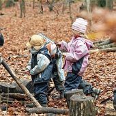 Gremium stimmt für Waldkindergarten