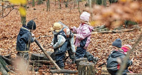 Draußen in der Natur mit allen Sinnen spielen: Das Gremium des Hauptverwaltungsausschusses empfahl dem Stadtrat geschlossen, die Möglichkeiteines Waldkindergartens beim künftigen Ausbau der Einrichtungen zu berücksichtigen. Foto dpa