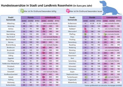 Ein Überblick über die Hundesteuersätze in Stadt und Landkreis Rosenheim. Klinger