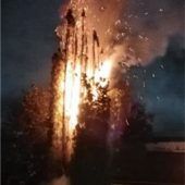Brand: Hecke an Karl-Unsinn-Straße