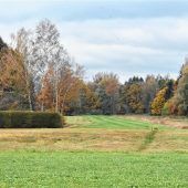 47 Empfehlungen zum Erhalt der Artenvielfalt