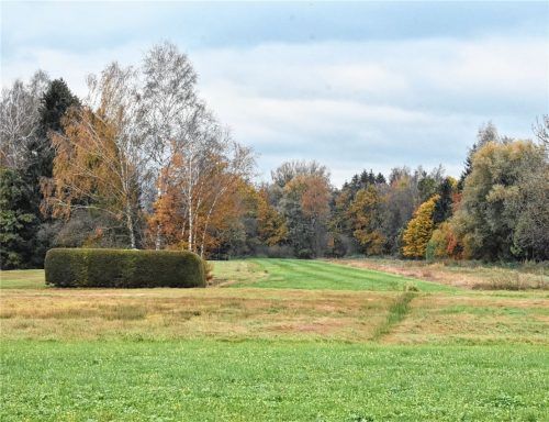 In den Filzengebieten in Stephanskirchen sollen standorttypische Moor- und Bruchwälder entstehen. Das ist eine von 47 Maßnahmen zur Artenvielfalt, die sich die Gemeinde vorgenommen hat.Foto Schlecker