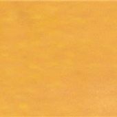 Ohne Jia Liu in die neue Saison