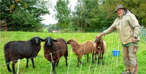 Lorenz Obermüller aus Prien hatte seine Schafe in Stein bei Sachrang auf der Weide. Am Sonntag hatte er die Tiere nach Leiten gebracht.