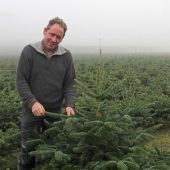 Christbaum-Verkäufer hoffen auf Ansturm