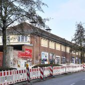 Bäume fällen für die grüne Stadtzukunft?