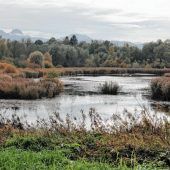 Paradies für  Mensch und Tier