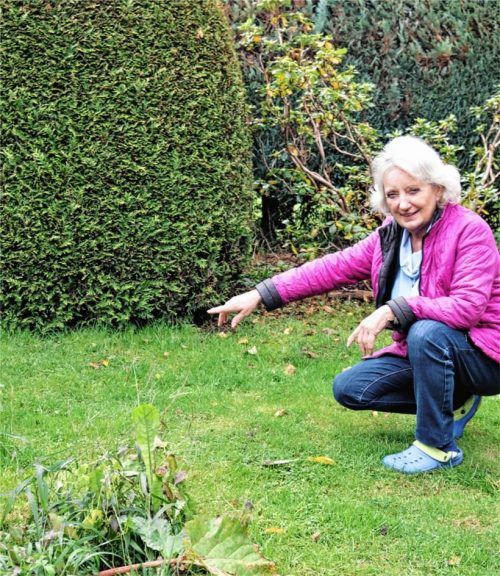 An dieser Stelle in ihrem Garten hat Brigitte Schindler den Igel gefunden. Fotos Riediger/re