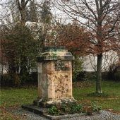 Kini kommt zurück an die Haßlerstraße