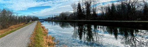 Blauer Himmel, frische Luft, menschenleere Wege: Schönere Trainingsbedingungen in der heimischen Natur kann man sich kaum vorstellen. Für diese Aufnahme musste Elke Artmeier einfach kurz mal stehen bleiben. Foto  Artmeier