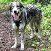 Burli – Teenager durch und durch