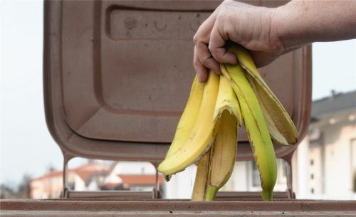 Das Thema ist nicht neu: Die Biotonne konnte sich bisher in Rosenheim nicht durchsetzen. Foto dpa