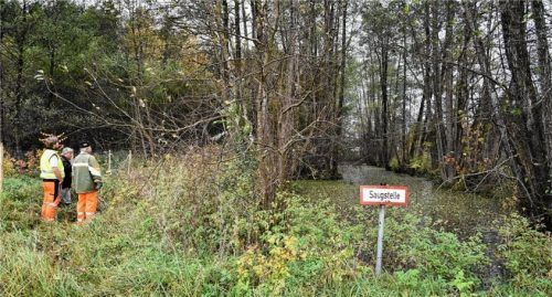Der Schömeringer Weiher, auch Löschweiher für die Feuerwehr, wird in den nächsten Tagen vom Landschaftspflegeverband von einem Teil des angesammelten Schlamms befreit. Foto Schlecker