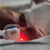 Kein Baby an Keimen erkrankt