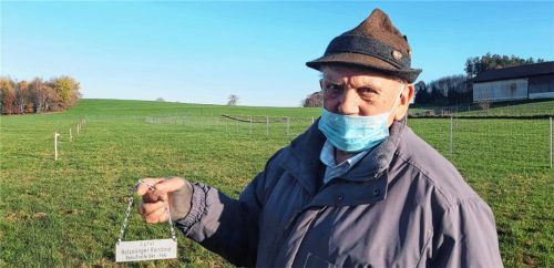 Ernst Wörtz, Zweiter Vorsitzender des Vereins, mit einem von ihm gravierten Schild zur Obstsorte Holzollinger Rambour. Fotos RE