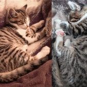 Mia und Gaia: Schwerer Start im jungen Leben