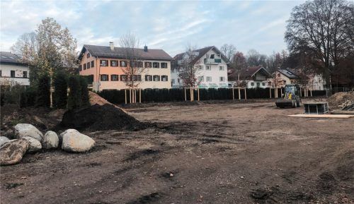 Hecken und Bäume wurden unter anderem auch dort gepflanzt, wo zuletzt ein Erdwall entlang der Rosenheimer Straße aufgeschüttet war. Den nun ebenfalls auf dem in Privatbesitz befindlichen Ludwigsbad-Gelände geplanten Baueines Teichs befürwortete der Bauausschuss in seiner jüngsten Sitzung einstimmig. Foto  Lagler