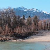 Den Fischen beim Wandern helfen