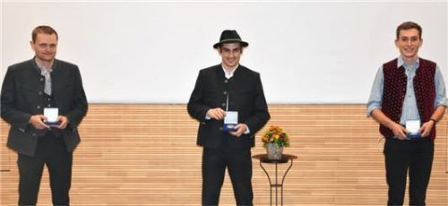 Mit dem Meisterpreis ausgezeichnet: (von links) Peter Baumann, Wolfgang Kink und Bernhard Astl. Fotos re