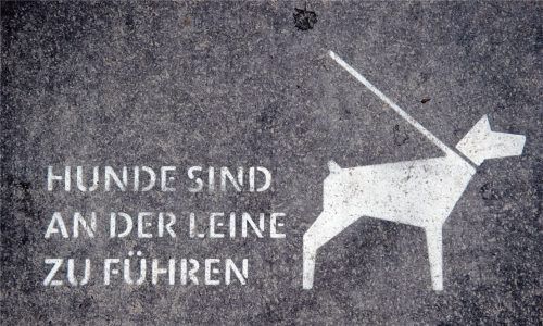 Schwierig umsetzbar: Eine Anleinpflicht für Hunde im Gemeindegebiet Schechen lässt sich nicht einfach formulieren und umsetzen. Foto DPA
