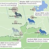 Der Wolf soll draußen bleiben