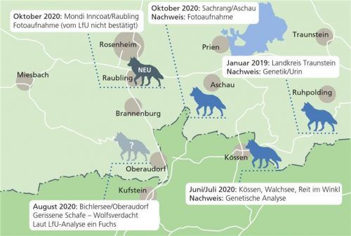 Dem Wolf auf der Spur: Einige Stellen, an denen sich ein Wolf sicher oder vermutlich blicken ließ. Klinger