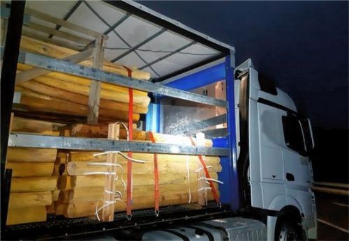 Zwischen diesen Baumstämmen hatten sich die Afghanen versteckt. Foto Bundespolizei