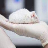 Protest gegen Tierversuchslabor