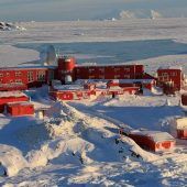 Corona erreicht Antarktis