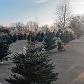 Mit Abstand zum schönsten Christbaum: Der Verkauf am OVB-Druckzentrum