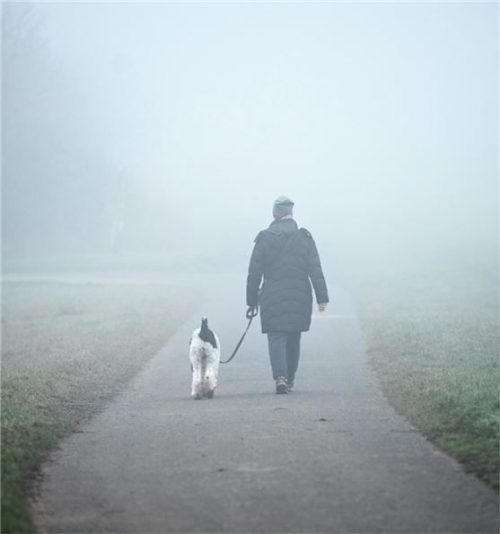 Ab 2021 werden die Hundebesitzer in Oberaudorf höhere Steuern für ihre Vierbeiner zahlen müssen.Foto dpa
