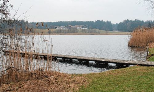 Der Pelhamer See ist Teil der Eggstätt-Hemhofer Seenplatte. Trotz zahlreicher Anstrengungen wird seine Wasserqualität derzeit nach der EU-Wasserschutzrichtlinie „nur als mäßig“ eingestuft. Foto Kirchner
