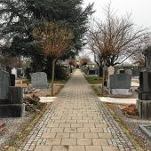 Baumbestattungen in Kolbermoor?