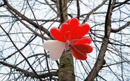 Herz-Luftballons in einem kahlen Baum: Die Aufmerksamkeit auf das lenken, was gerade Positives im eigenen Leben vorzufinden ist, rät Melanie Binder. Foto dpa