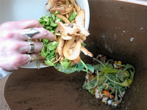 Sie könnte bald auch nach Rosenheim kommen: Im Ausschuss für Umwelt, Energie und Klimaschutz diskutierten die Stadträte darüber, ob eine Biotonne eingeführt werden soll. Foto dpa