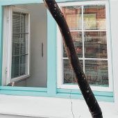 Tag des offenen Fensters