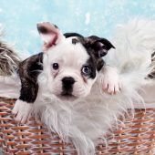 Mit Ausdauer ans Ziel