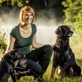 Jeder zehnte Hund reagiert nicht auf die Ansagen des Besitzers über Lautsprecher