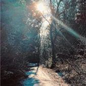 Der Sonne entgegen
