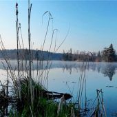 Rücksicht auf Flora und Fauna nehmen