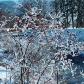 Winterwunderland am Fuße der Kampenwand