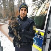 Polizei rettet Greifvogel in Not
