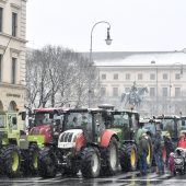Vergeblicher Bauernprotest