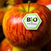 Corona-Pandemie sorgt für Boom der Bio-Landwirtschaft