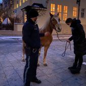 Passantin rettet entlaufenes Pferd