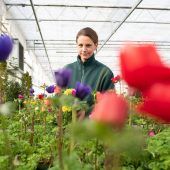 Bunte Hoffnung auf den Frühling